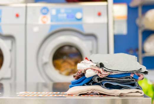 Appliances Cockroaches Like To Infest- Laundry Room